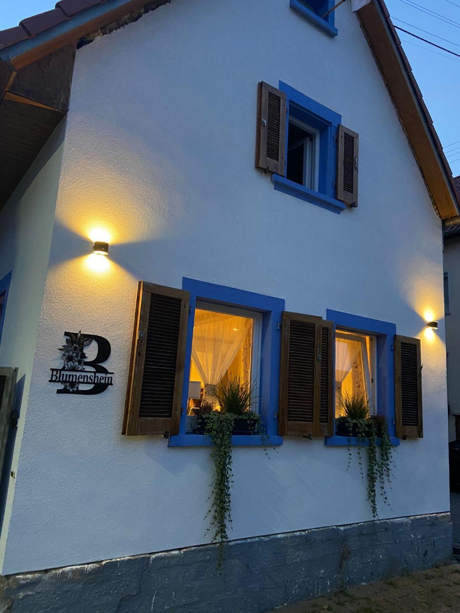 Ferienwohnung Blumenshein Bei Speyer Karlsruhe Familienfreundlich 5 Pers Zeiskam Exterior photo